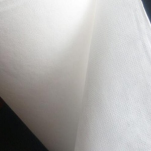 Flushable Spunlace Nonwoven Fabric